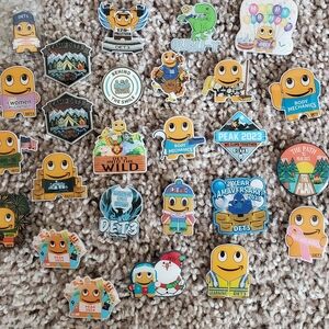 Peccy Pin Lot